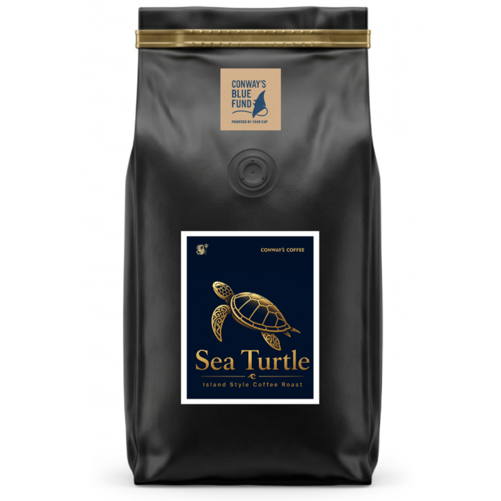 Sea Turtle   2 Lb