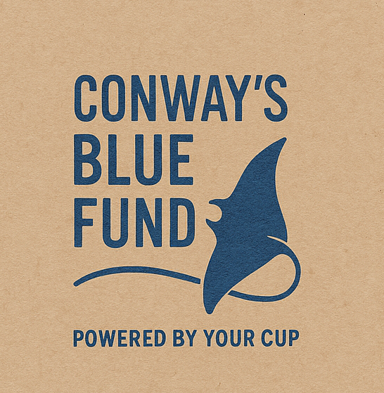 Conway's Blue Fund